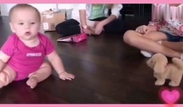 娃娃爆料最新搞笑视频,最新搞笑视频，笑到肚子疼！